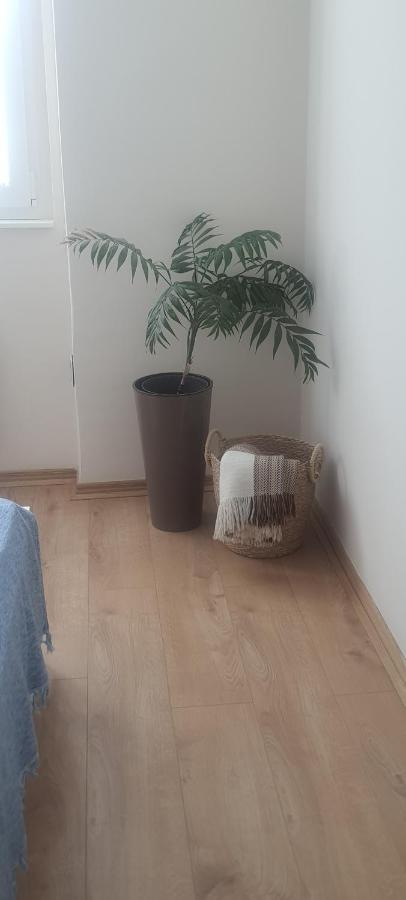 Apartman Taca Суботица Экстерьер фото